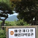 제다원초가집 | 하동 가볼만한곳 매암제다원 녹차밭 포토존소개