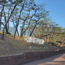 대구박물관 이미지