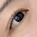 소하샵 | 청량리 속눈썹펌 만족 후기 [소하뷰티] 동대문구 회기 속눈썹 연장