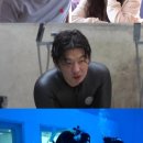 최송현 카카오 검색결과