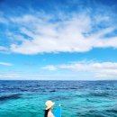 5월 5일 | 보홀여행 2월 건기 날씨 3박5일 일정 투어 후기