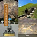 2015 인도 문화제 | [ 공주 무령왕릉과 왕릉원 ] 백제왕과 왕족의 고분 세계유산 역사체험 왕릉 발굴시 안타까운 서사