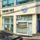샤인펫 (Shine pet) 이미지