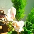 스플래쉬 이미지