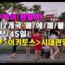 팬플루트(야간) 이미지