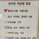 미화플라워 | 천안 신방동 24시간 꽃집, "미화플라워" 내돈내산 구매후기 :)