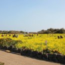 한상 뚝딱 이미지