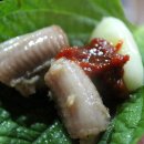 참곰장어 이미지