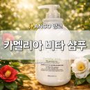진주알미용실 | [ANCO] 앙코 카멜리아 비타 샴푸 실리콘프리 1L 대용량 순한 약산성샴푸 사용 후기