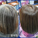 큐사랑염색 이미지