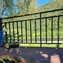 단양 무지개 오토캠핑장 | 강아지 동반 단양 여행 - 단양 무지개 오토캠핑장 후기 (도담삼봉 모터보트)