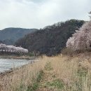봄구름