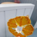 오성할인마트 이미지