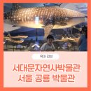 혜성어린이집 | 서대문자연사박물관 서울 공룡박물관 실내 아이랑 가볼만한곳
