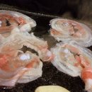 돈돈대패 Daum카페
