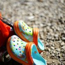 학사태권도클럽 이미지