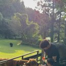 해동목장 이미지