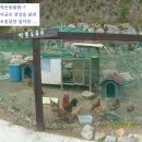 오어사작은마을펜션