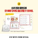 삼성영어셀레나양지초영어교습소