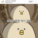 범안로·은성로 | 일상 : 어쩔 마인드 장착 완료
