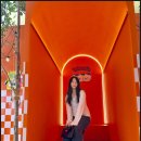 지산캔넬 이미지