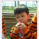 거송농장 Daum카페