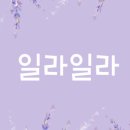 일라스토어