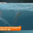 모두오일 이미지