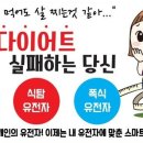 잼있는점핑체온다이어트 이미지