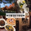 다올약국 | 25년 11월 일상 모음집