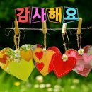 행복한동행