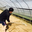 터미널농약사 이미지