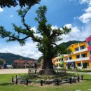 정선초등학교 이미지