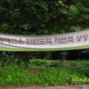 청운민박 이미지