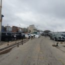 유동호 | [주문진좌판풍물시장] 주문진 매년가는 저렴한 수산시장 홍게 구매후기(무료주차 꿀팁)