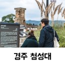 연구단지네거리 버스정류장 | 경주 첨성대 입장시간과 당일치기 후기