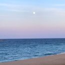 제일마트(주식회사 제이에스리) | [강릉여행] 강릉 1박2일 여행 : 사근진해변 / 강릉 제이펜션 / 훈이네식당 / 봉봉방앗간