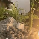 디저트39(양덕점) 이미지