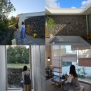 록스테이 | 제주 독채 감성숙소 '도록스테이' 자쿠지 불멍 신상펜션