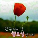 꽃다운 한 주 Daum카페