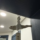 고잔방사선과의원 네이버블로그