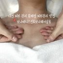 이로애견미용실 | 대전피부관리 문제성 피부관리 맛집 보나메디스킨&amp;보나헤어살롱