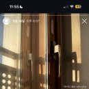 도오나헤어 이미지