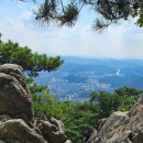 삼선산수목원 숲속도서관 네이버블로그
