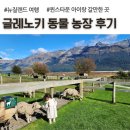장거리농장 | 뉴질랜드 퀸스타운 근교, 글레노키 동물 농장 아이랑 솔직 후기