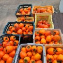 오렌지동화나라유치원 이미지