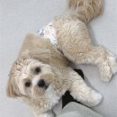 가마산로65길 이미지