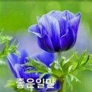 장일남컬렉션 이미지