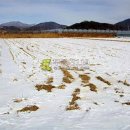 청계리농장 이미지