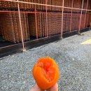 [공지] 🍊상주곶감 직거래 - 반건시 먹어본 후기
